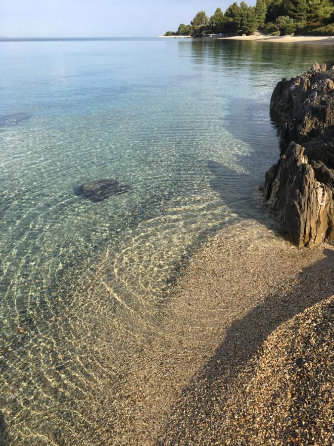 Akti Alegra Apartment II Νικήτη Εξωτερικό φωτογραφία